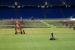 TurfTech-2025-6
